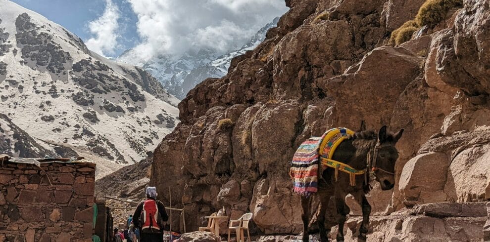 packages morocco tour