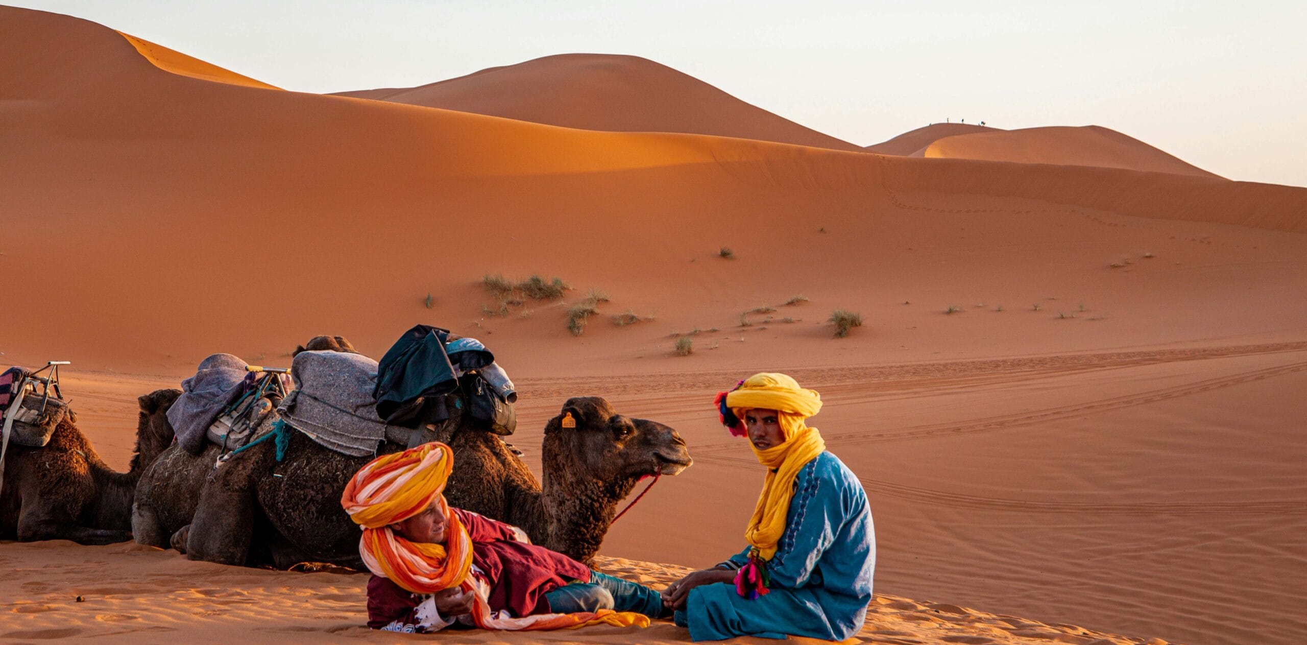 morocco tour