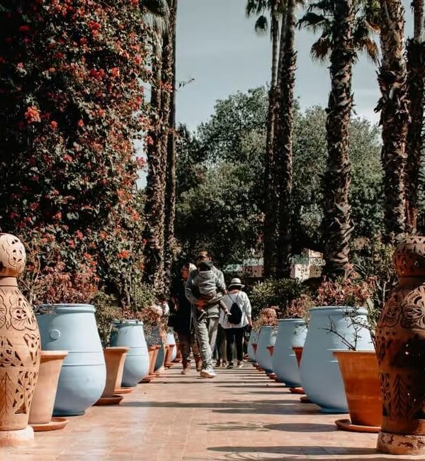 Marrakech: Majorelle Garden