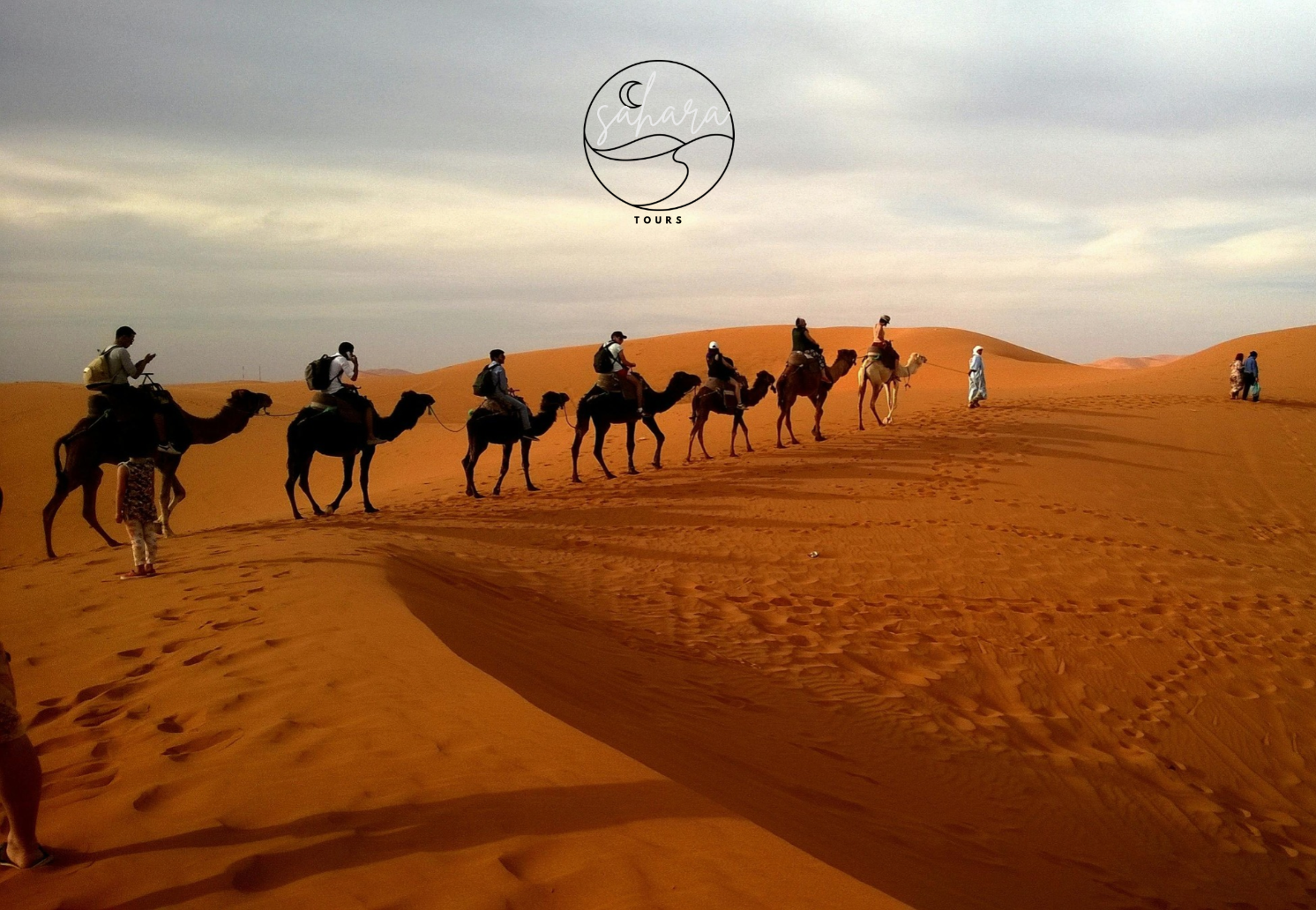 Desert Group Tours 1
