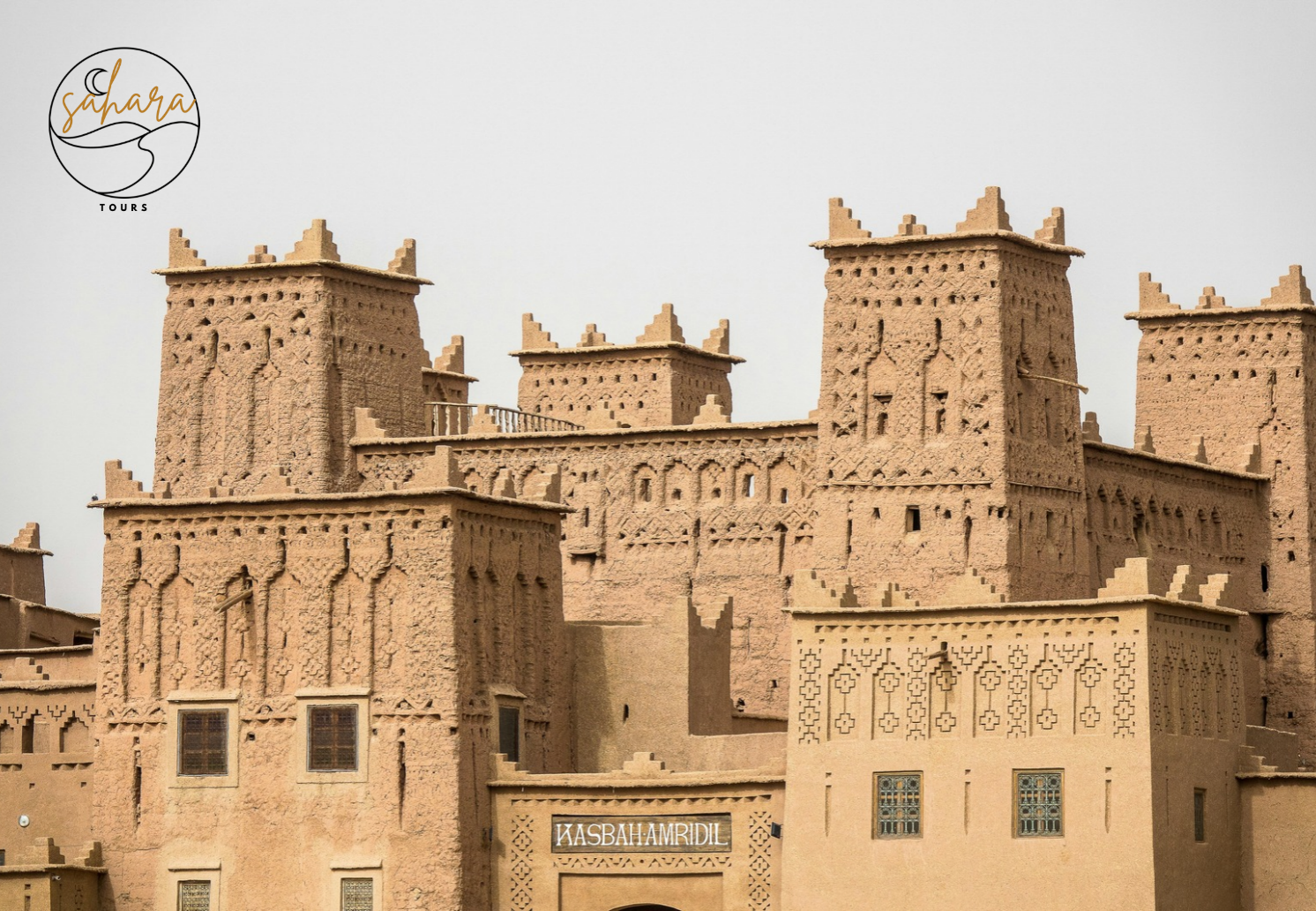 Desert Group Tours 3
