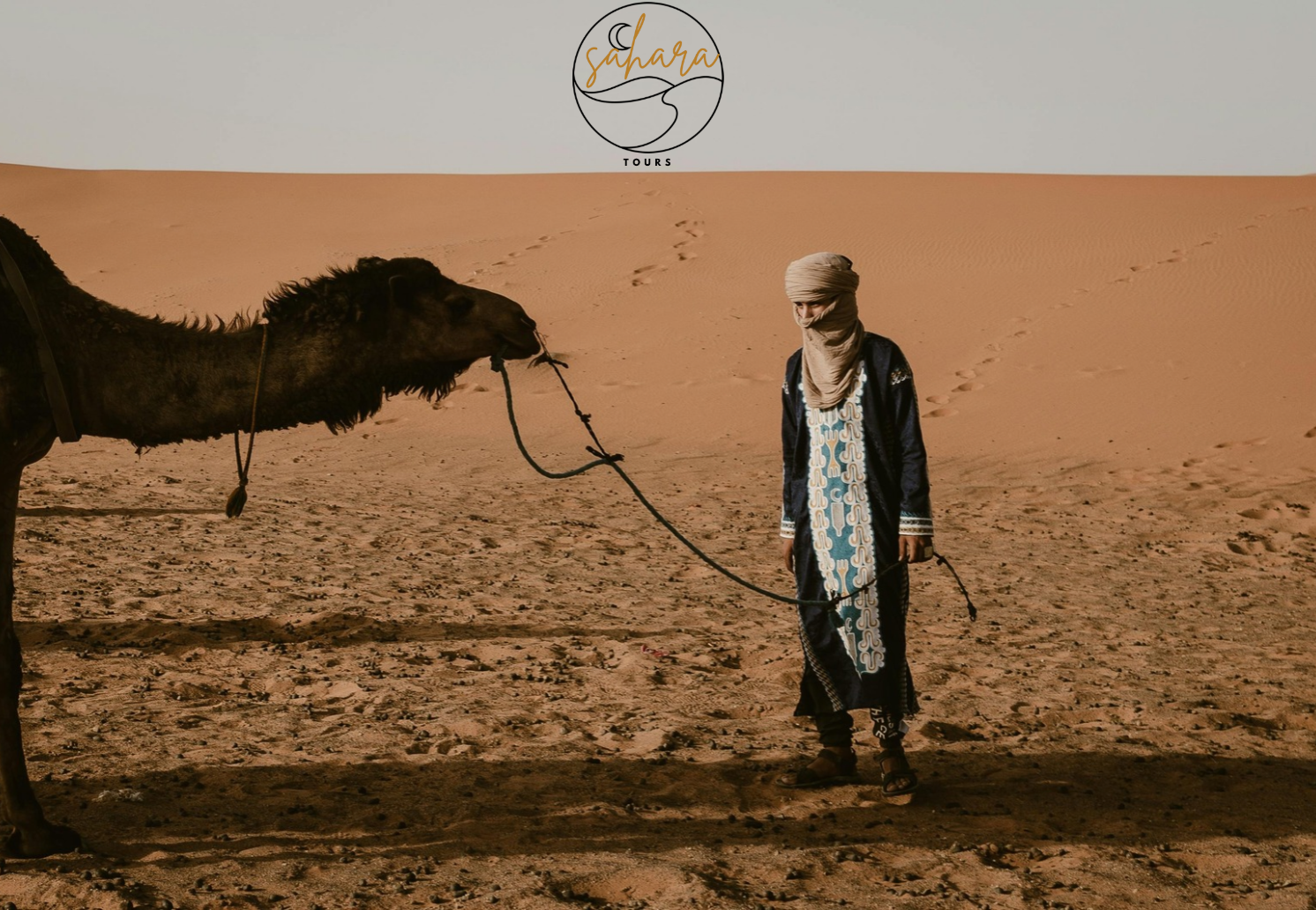 Desert Group Tours 4