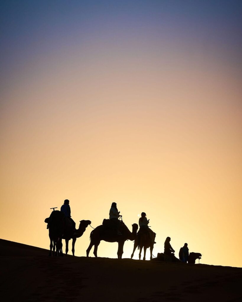Camel trek