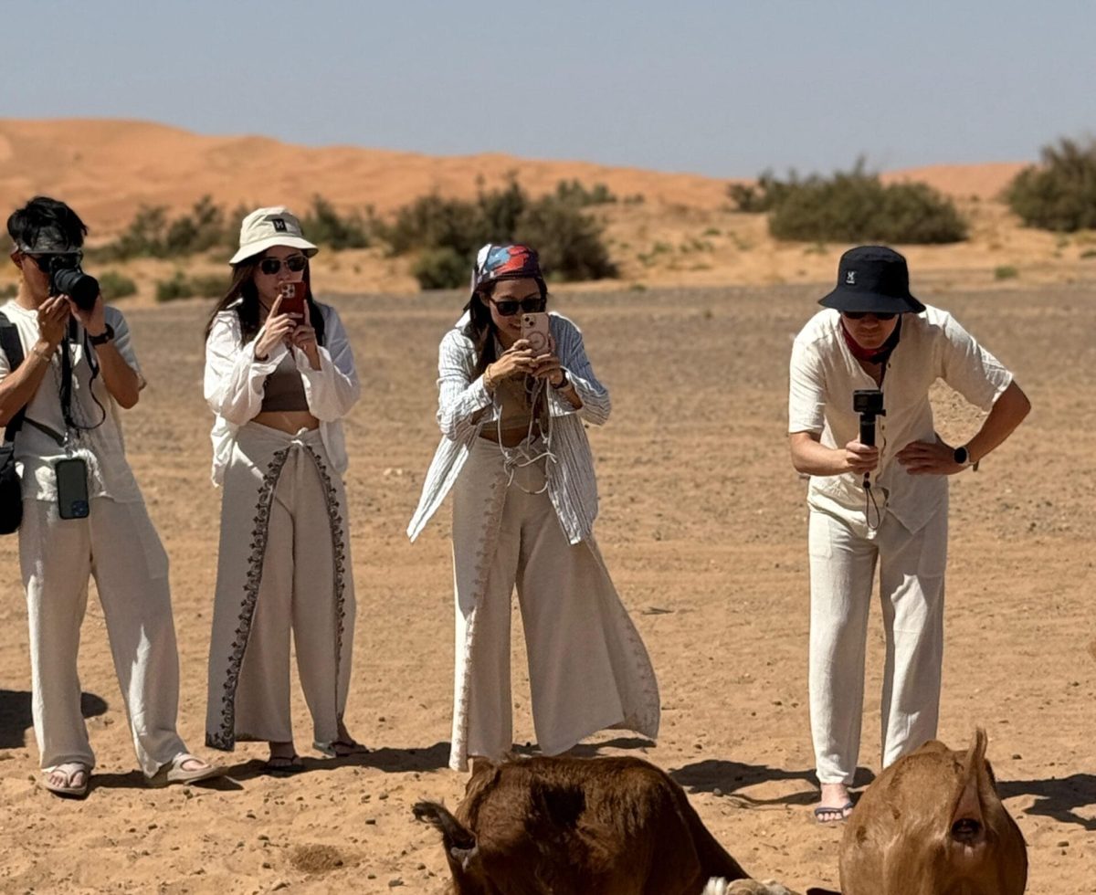 Fez to Marrakech desert tour camel ride in the Sahara
